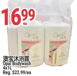 SunFood Supermarket Opal Bodywash offer