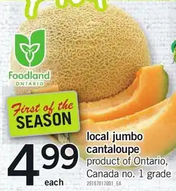 Loblaws Local Jumbo Cantaloupe offer