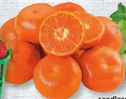 Loblaws Seedless Orri Mandarins offer