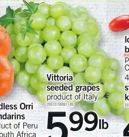 Loblaws Vittoria seeded grapes offer