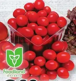 Loblaws Grape Tomatoes offer
