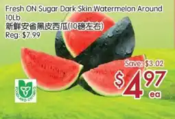 Sunny Food Mart Fresh ON Sugar Dark Skin Watermelon Around offer