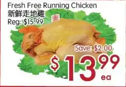 Sunny Food Mart Fresh Free Running Chicken offer