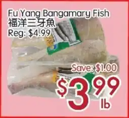 Sunny Food Mart Fu Yang Bangamary Fish offer