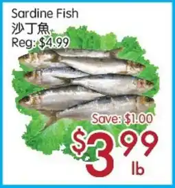 Sunny Food Mart Sardine Fish offer