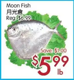 Sunny Food Mart Moon Fish offer