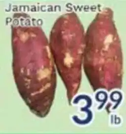 Oceans Fresh Food Market Jamaican Sweet Potato offer