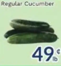 Oceans Fresh Food Market Regular Cucumber offer