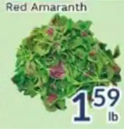 Oceans Fresh Food Market Red Amaranth offer