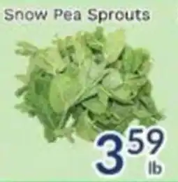 Oceans Fresh Food Market Snow Pea Sprouts Indian offer