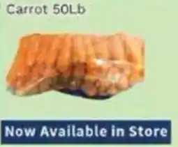 Oceans Fresh Food Market Carrot offer