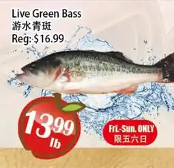 Food Depot Supermarket Live Green Bass offer