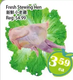 Food Depot Supermarket Fresh stewing hen offer