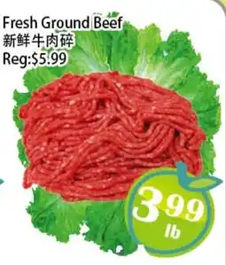 Food Depot Supermarket Fresh ground beef offer