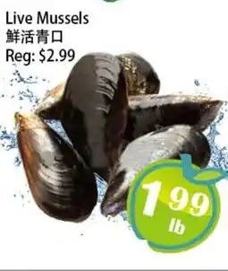 Food Depot Supermarket Live Mussels offer