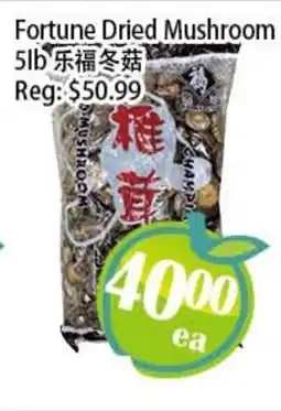 Food Depot Supermarket Fortune dried mushroom offer