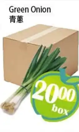 Food Depot Supermarket Green onion offer