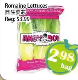 Food Depot Supermarket Romaine Lettuces offer