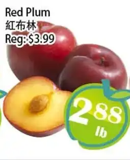 Food Depot Supermarket Red Plum offer
