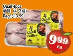 Food Depot Supermarket Quail offer