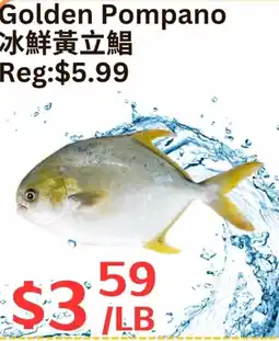 Farm Fresh Supermarket Golden pompano offer