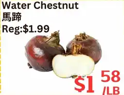 Farm Fresh Supermarket Water Chestnut offer