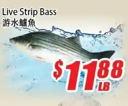 WinCo Food Mart Live Strip Bass offer