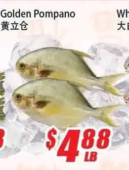WinCo Food Mart Golden Pompano offer
