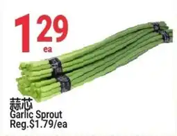 SunFood Supermarket Garlic Sprout offer