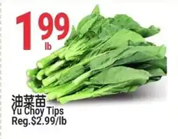 SunFood Supermarket Yu Choy Tips offer