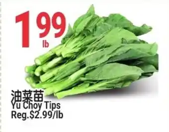 SunFood Supermarket Yu Choy Tips offer
