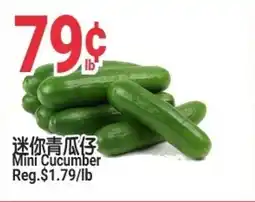 SunFood Supermarket Mini cucumber offer