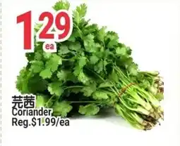 SunFood Supermarket Coriander offer