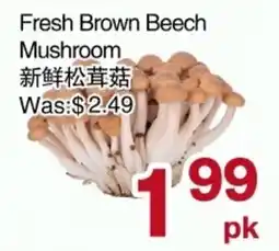 First Choice Supermarket Fresh Brown Beech Mushroom offer