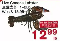 First Choice Supermarket Live Canada Lobster offer