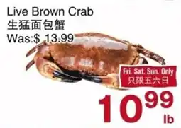 First Choice Supermarket Live Brown Crab offer