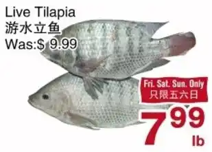 First Choice Supermarket Live Tilapia offer