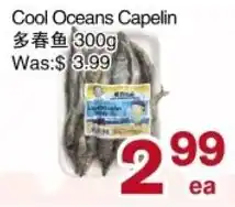 First Choice Supermarket Cool Oceans Capelin offer