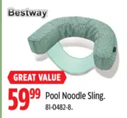 Canadian Tire Bestway Pool Noodle Sling offer
