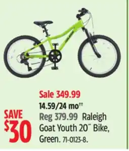 Canadian Tire Raleigh Goat Youth 20 Bike, Green offer