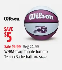 Canadian Tire Wilson WNBA Team Tribute Toronto Tempo Basketball offer