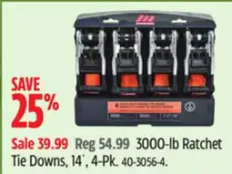 Canadian Tire 3000-lb Ratchet Tie Downs, 14´, 4-Pk offer