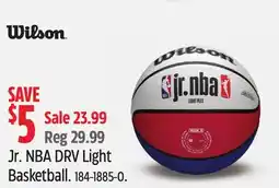Canadian Tire Wilson Jr. NBA DRV Light Basketball offer