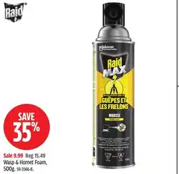 Canadian Tire Raid Wasp & Hornet Foam offer
