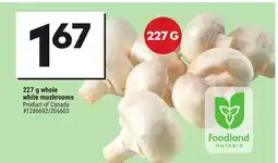 Giant Tiger 227 g whole white mushrooms offer