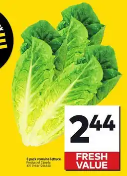 Giant Tiger 3 pack romaine lettuce offer