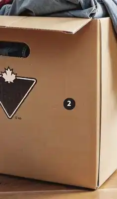 Canadian Tire FOLDING MOVING/STORAGE BOX offer