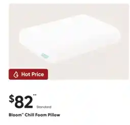 Sleep Country Bloom Chill Foam Pillow Standard offer