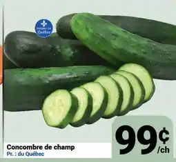 Pasquier Concombre de champ offer
