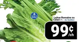 Pasquier Laitue Romaine ou Céleri offer
